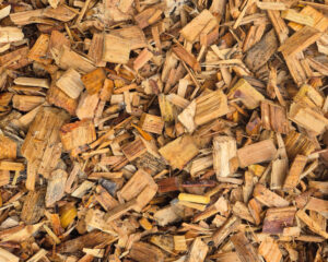 Pine Wood Chips
